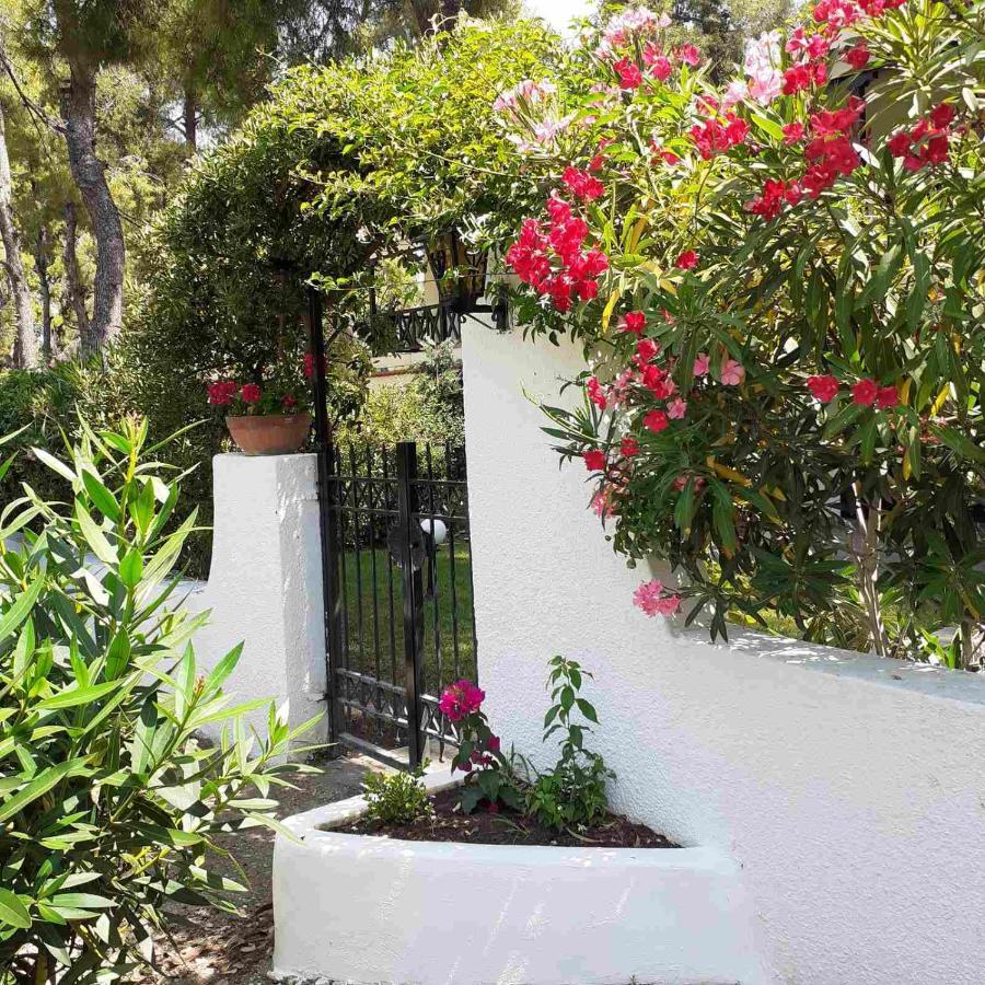 Sani Villa Of Traditional Architecture Exterior foto